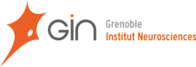 Grenoble Institute of Neuroscience